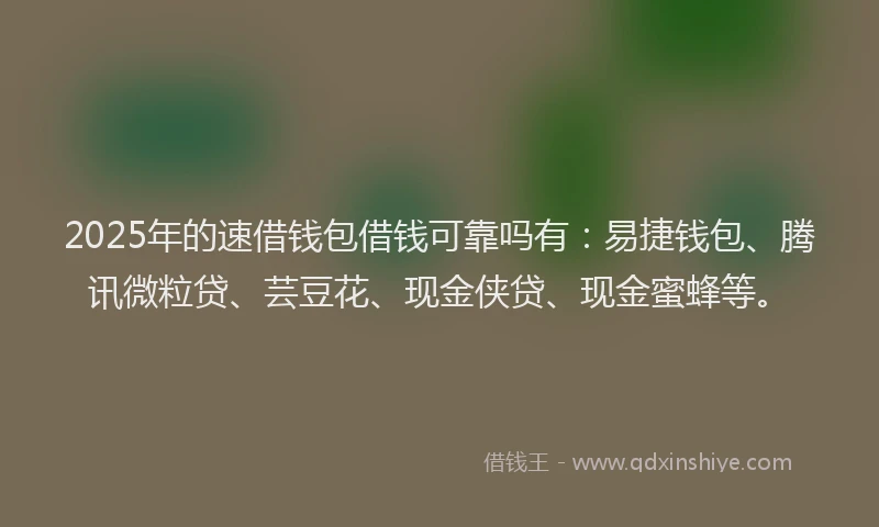 2025年的速借钱包借钱可靠吗有：易捷钱包、腾讯微粒贷、芸豆花、现金侠贷、现金蜜蜂等。