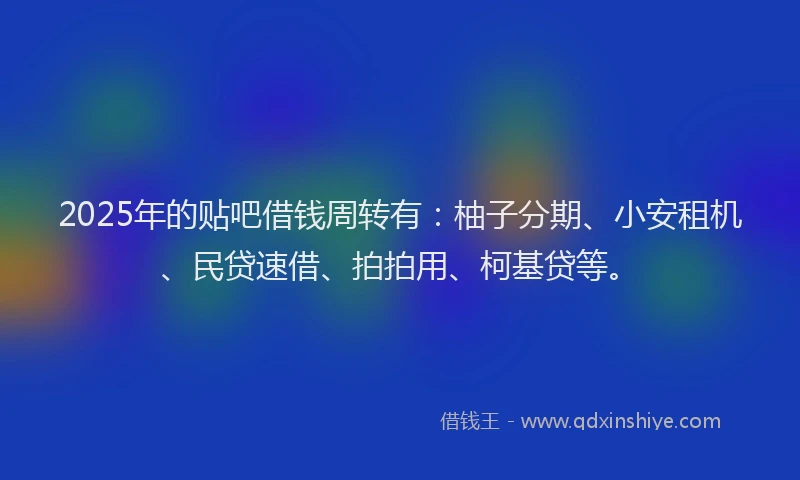 2025年的贴吧借钱周转有：柚子分期、小安租机、民贷速借、拍拍用、柯基贷等。