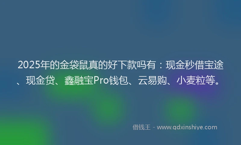 2025年的金袋鼠真的好下款吗有：现金秒借宝途、现金贷、鑫融宝Pro钱包、云易购、小麦粒等。