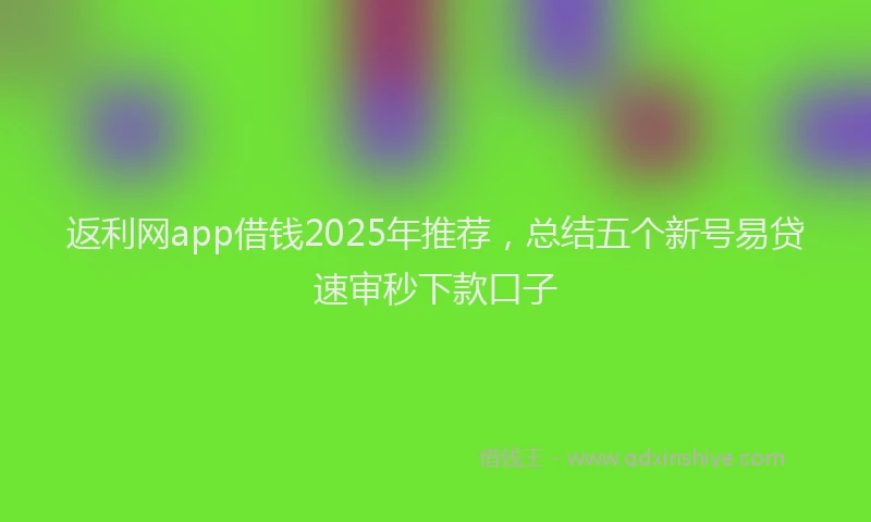 返利网app借钱2025年推荐，总结五个新号易贷速审秒下款口子