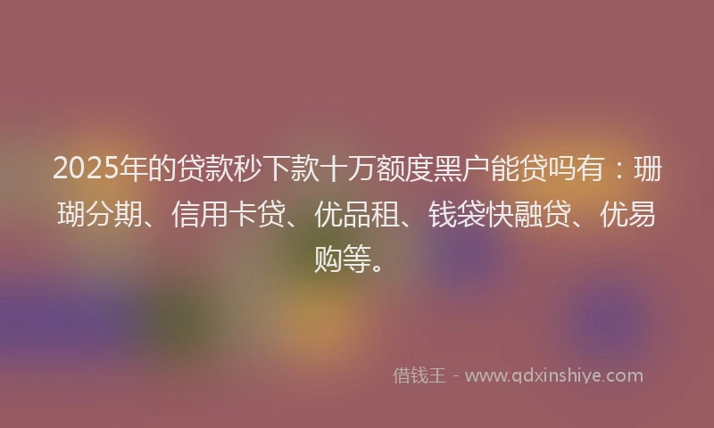 2025年的贷款秒下款十万额度黑户能贷吗有：珊瑚分期、信用卡贷、优品租、钱袋快融贷、优易购等。