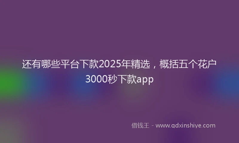 还有哪些平台下款2025年精选，概括五个花户3000秒下款app