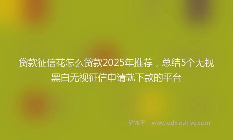 贷款征信花怎么贷款2025年推荐，总结5个无视黑白无视征信申请就下款的平台
