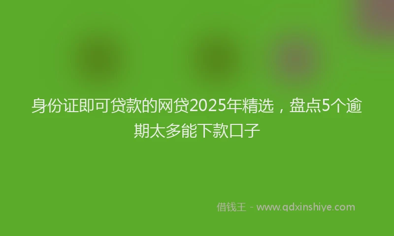 身份证即可贷款的网贷2025年精选，盘点5个逾期太多能下款口子