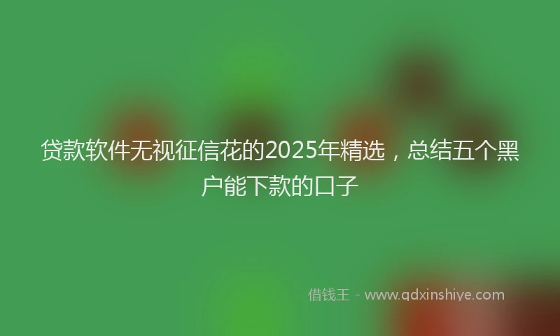 贷款软件无视征信花的2025年精选，总结五个黑户能下款的口子