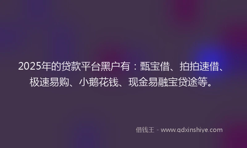 2025年的贷款平台黑户有：甄宝借、拍拍速借、极速易购、小鹅花钱、现金易融宝贷途等。