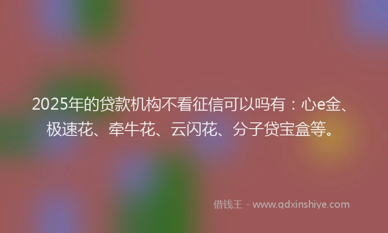 2025年的贷款机构不看征信可以吗有：心e金、极速花、牵牛花、云闪花、分子贷宝盒等。