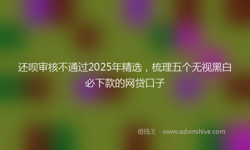 还呗审核不通过2025年精选，梳理五个无视黑白必下款的网贷口子