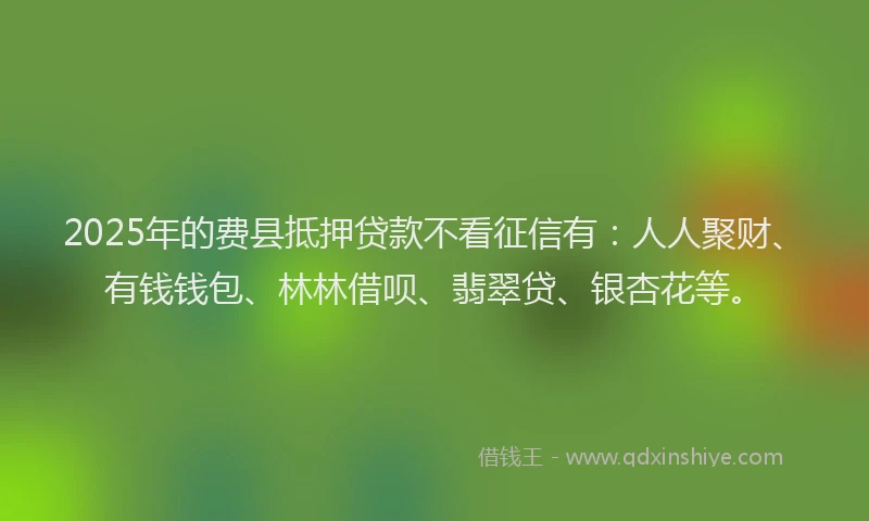 2025年的费县抵押贷款不看征信有：人人聚财、有钱钱包、林林借呗、翡翠贷、银杏花等。