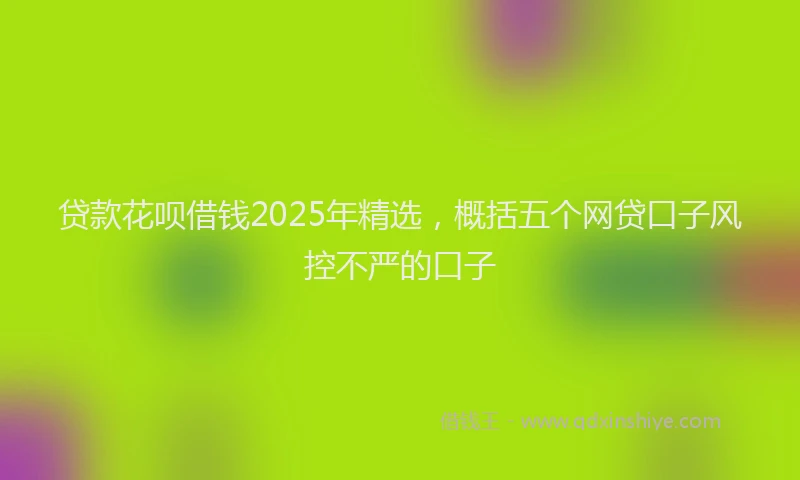 贷款花呗借钱2025年精选，概括五个网贷口子风控不严的口子