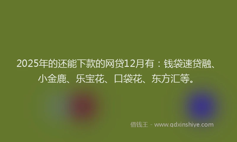 2025年的还能下款的网贷12月有：钱袋速贷融、小金鹿、乐宝花、口袋花、东方汇等。
