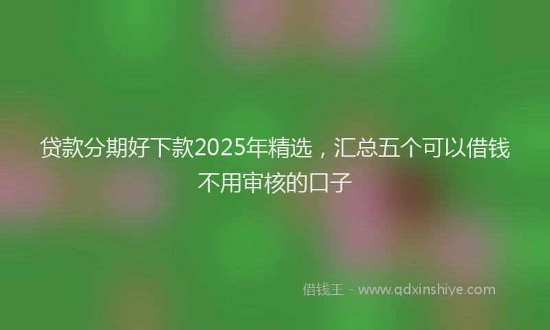 贷款分期好下款2025年精选，汇总五个可以借钱不用审核的口子