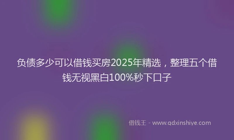 负债多少可以借钱买房2025年精选，整理五个借钱无视黑白100%秒下口子