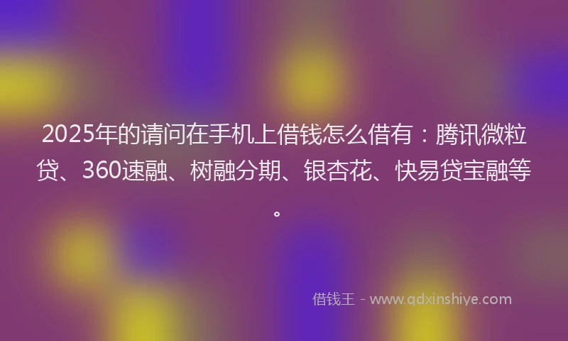 2025年的请问在手机上借钱怎么借有：腾讯微粒贷、360速融、树融分期、银杏花、快易贷宝融等。