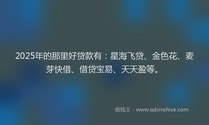 2025年的那里好贷款有：星海飞贷、金色花、麦芽快借、借贷宝易、天天盈等。