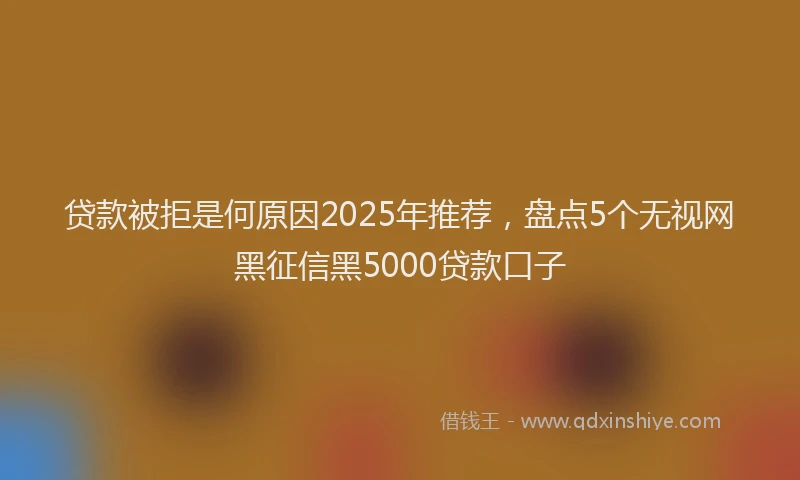 贷款被拒是何原因2025年推荐，盘点5个无视网黑征信黑5000贷款口子