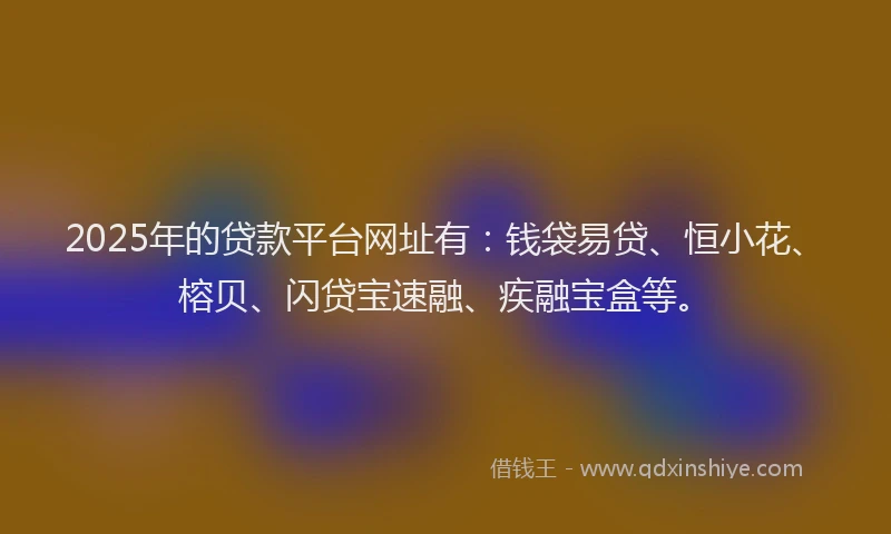 2025年的贷款平台网址有：钱袋易贷、恒小花、榕贝、闪贷宝速融、疾融宝盒等。