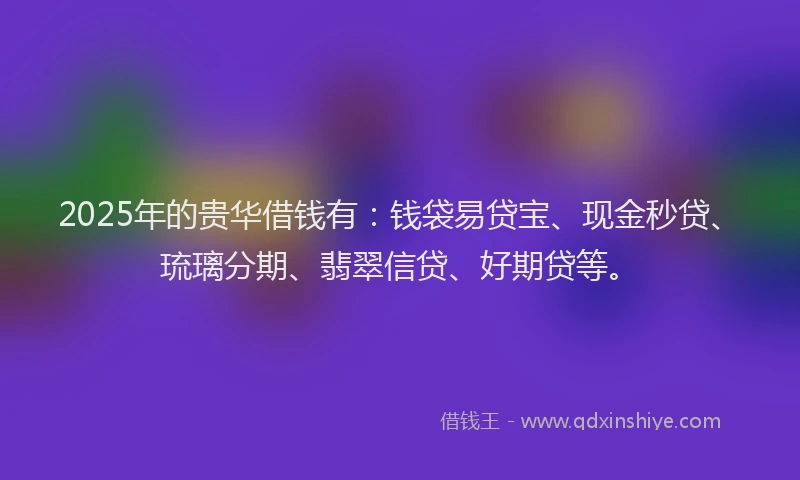 2025年的贵华借钱有：钱袋易贷宝、现金秒贷、琉璃分期、翡翠信贷、好期贷等。