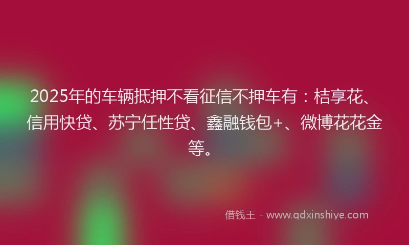 2025年的车辆抵押不看征信不押车有：桔享花、信用快贷、苏宁任性贷、鑫融钱包+、微博花花金等。