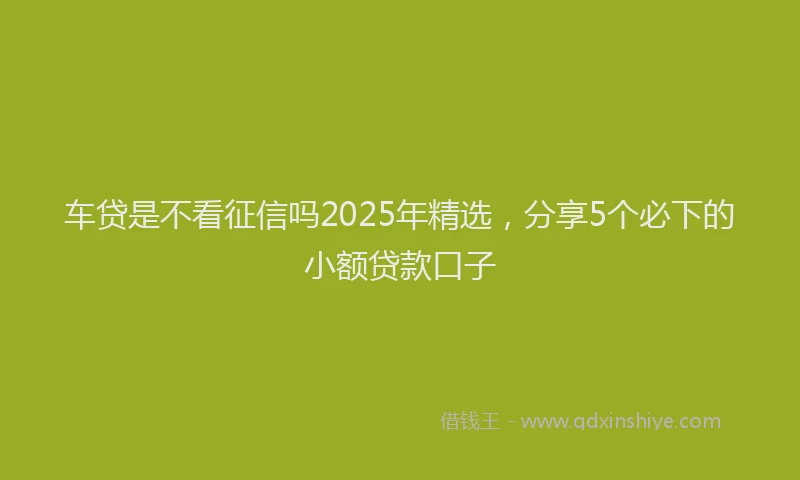 车贷是不看征信吗2025年精选，分享5个必下的小额贷款口子
