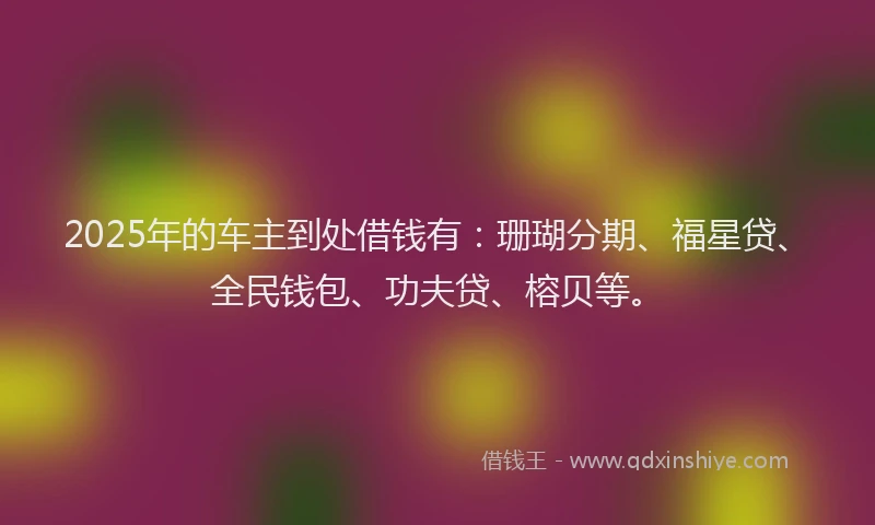 2025年的车主到处借钱有：珊瑚分期、福星贷、全民钱包、功夫贷、榕贝等。