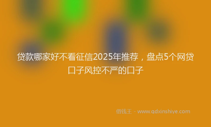 贷款哪家好不看征信2025年推荐，盘点5个网贷口子风控不严的口子