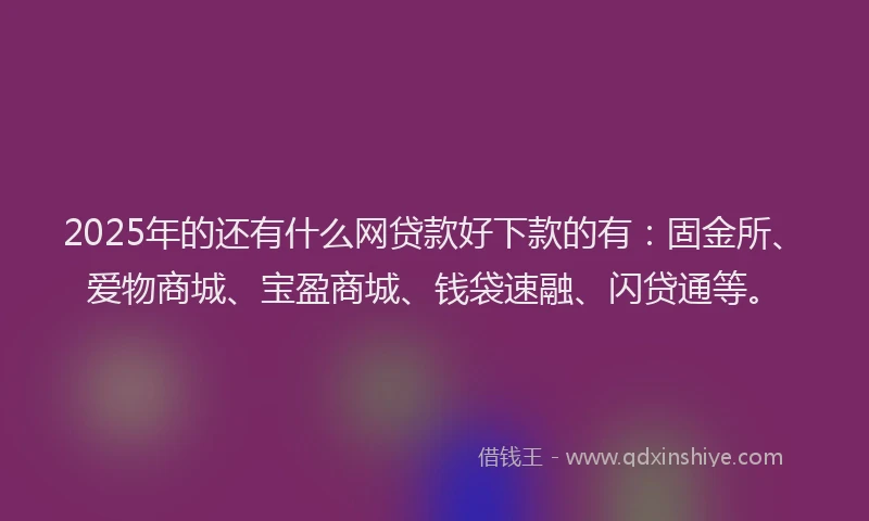 2025年的还有什么网贷款好下款的有：固金所、爱物商城、宝盈商城、钱袋速融、闪贷通等。