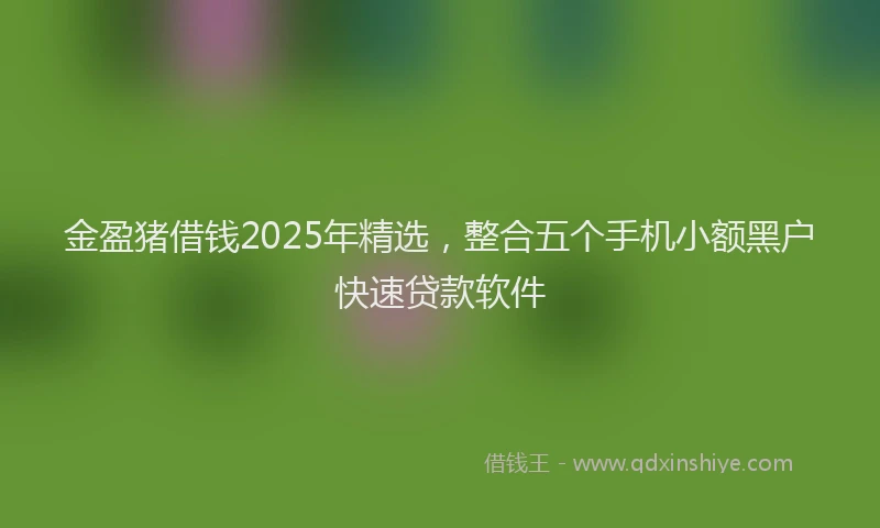 金盈猪借钱2025年精选，整合五个手机小额黑户快速贷款软件