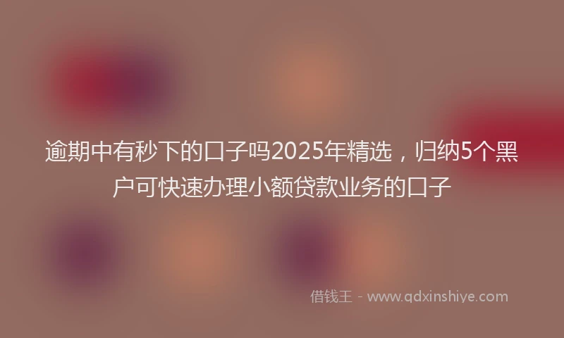 逾期中有秒下的口子吗2025年精选，归纳5个黑户可快速办理小额贷款业务的口子