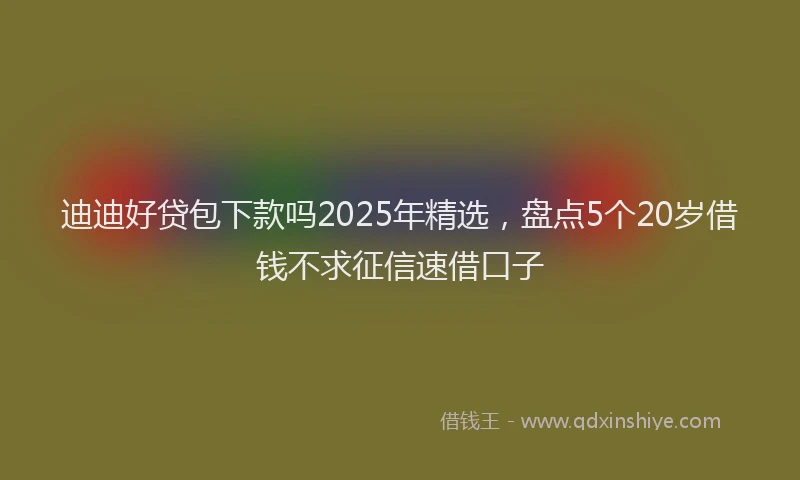 迪迪好贷包下款吗2025年精选，盘点5个20岁借钱不求征信速借口子