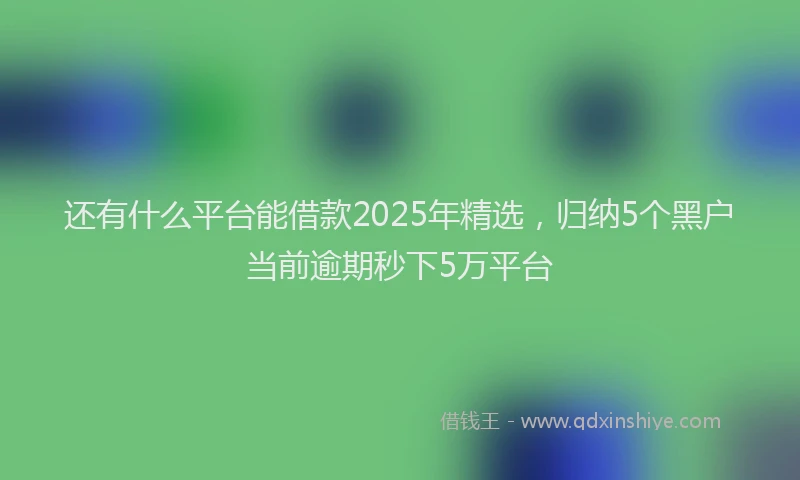 还有什么平台能借款2025年精选，归纳5个黑户当前逾期秒下5万平台