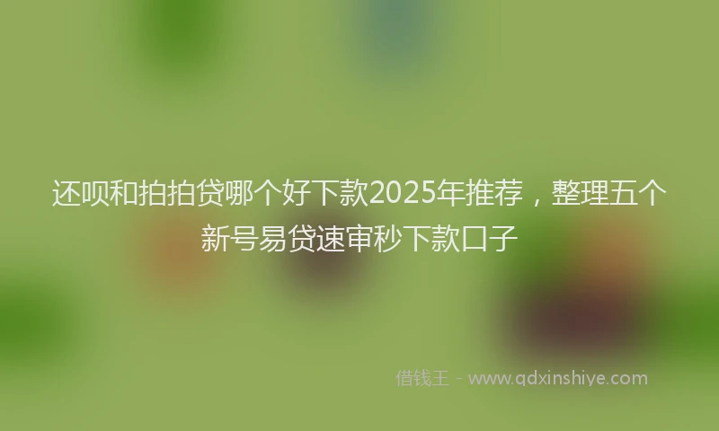 还呗和拍拍贷哪个好下款2025年推荐，整理五个新号易贷速审秒下款口子