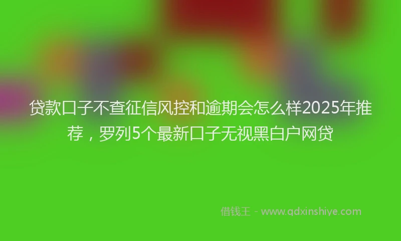 贷款口子不查征信风控和逾期会怎么样2025年推荐，罗列5个最新口子无视黑白户网贷