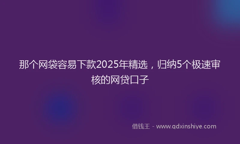 那个网袋容易下款2025年精选，归纳5个极速审核的网贷口子