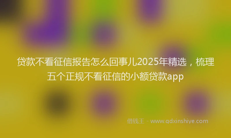 贷款不看征信报告怎么回事儿2025年精选，梳理五个正规不看征信的小额贷款app