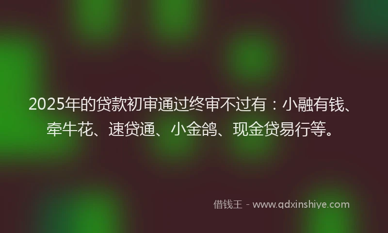 2025年的贷款初审通过终审不过有：小融有钱、牵牛花、速贷通、小金鸽、现金贷易行等。