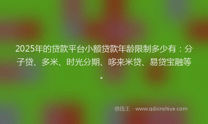 2025年的贷款平台小额贷款年龄限制多少有：分子贷、多米、时光分期、哆来米贷、易贷宝融等。