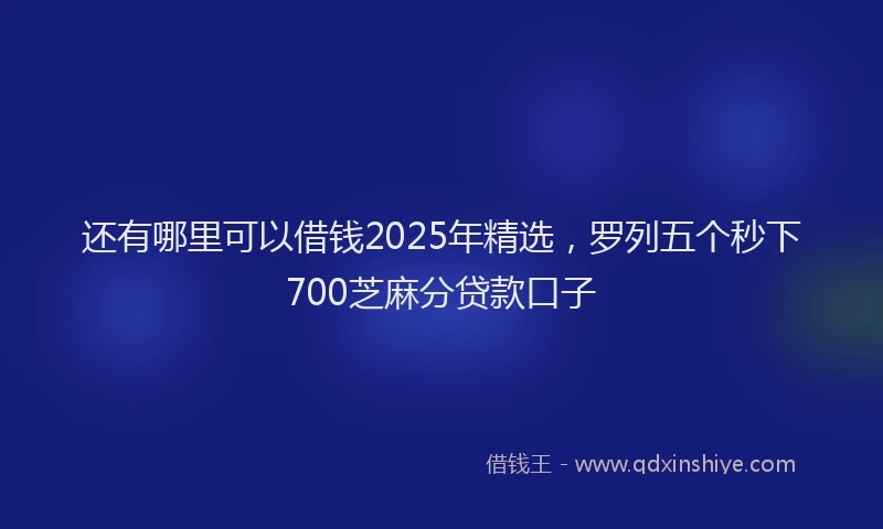 还有哪里可以借钱2025年精选，罗列五个秒下700芝麻分贷款口子