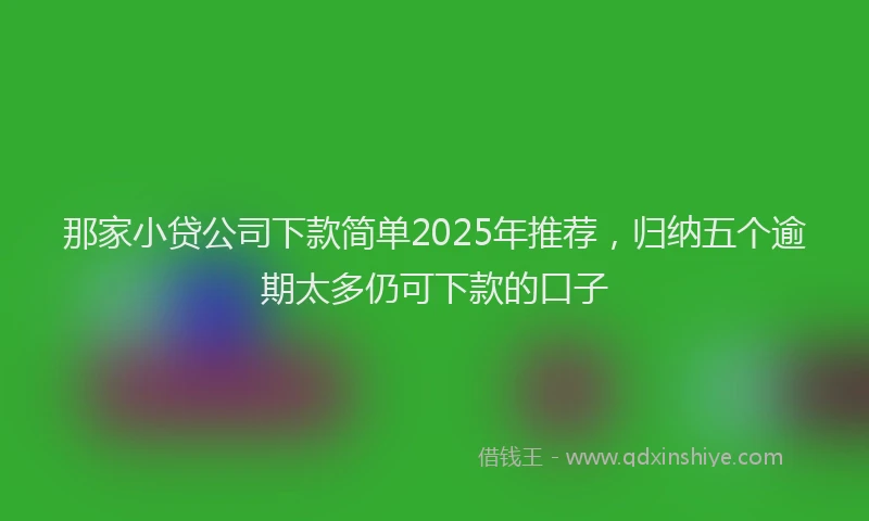 那家小贷公司下款简单2025年推荐，归纳五个逾期太多仍可下款的口子