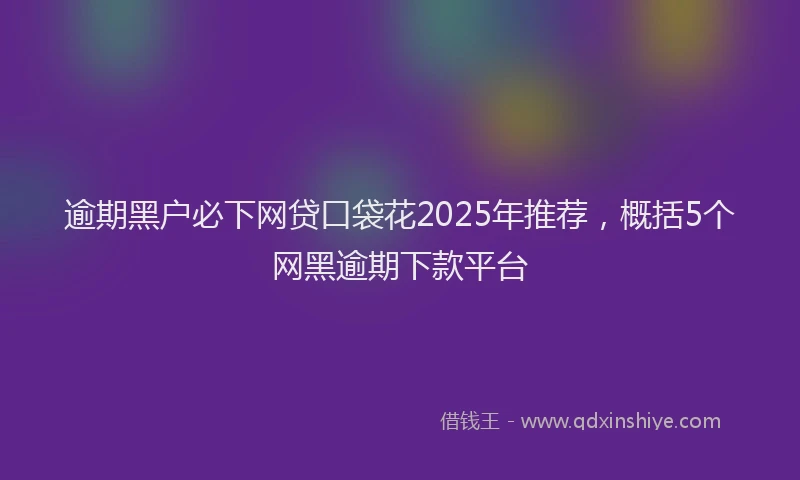 逾期黑户必下网贷口袋花2025年推荐，概括5个网黑逾期下款平台
