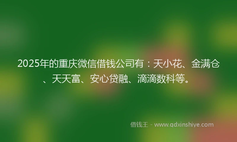 2025年的重庆微信借钱公司有：天小花、金满仓、天天富、安心贷融、滴滴数科等。