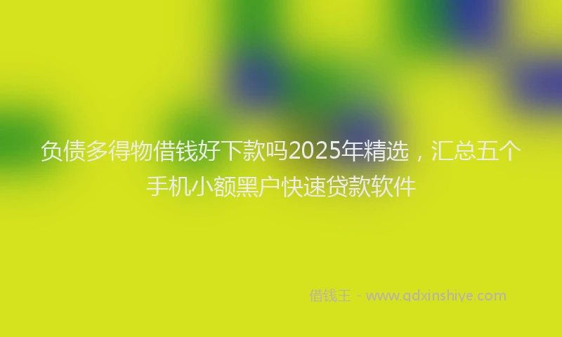 负债多得物借钱好下款吗2025年精选，汇总五个手机小额黑户快速贷款软件