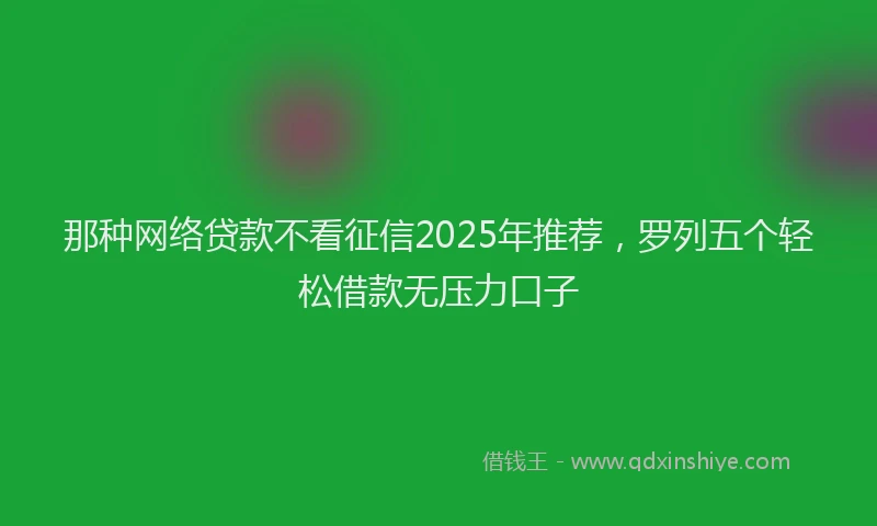 那种网络贷款不看征信2025年推荐，罗列五个轻松借款无压力口子