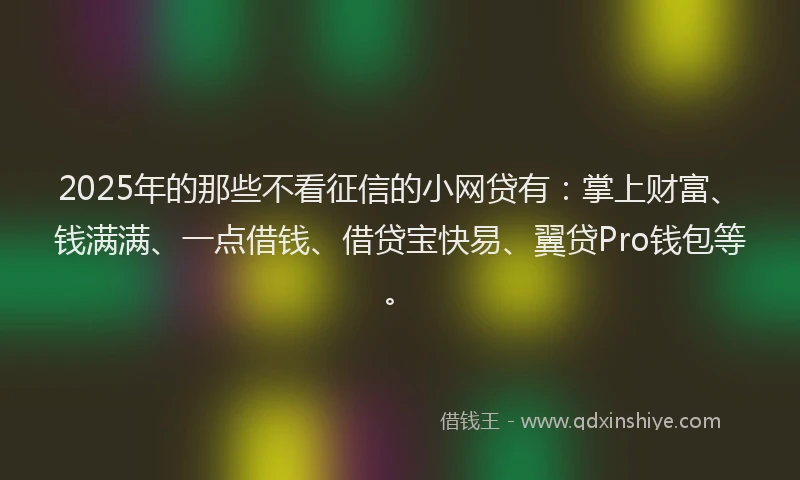 2025年的那些不看征信的小网贷有：掌上财富、钱满满、一点借钱、借贷宝快易、翼贷Pro钱包等。