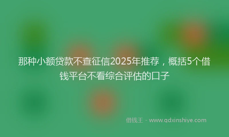 那种小额贷款不查征信2025年推荐，概括5个借钱平台不看综合评估的口子