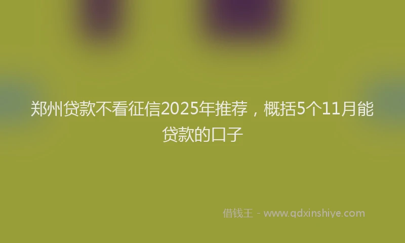 郑州贷款不看征信2025年推荐，概括5个11月能贷款的口子