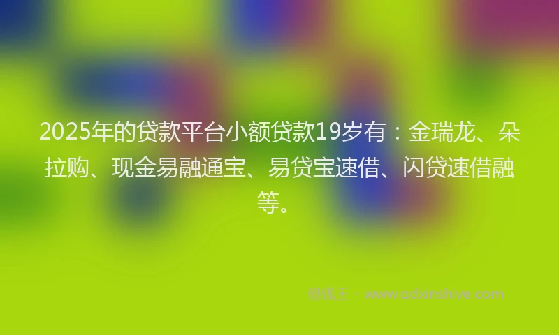 2025年的贷款平台小额贷款19岁有：金瑞龙、朵拉购、现金易融通宝、易贷宝速借、闪贷速借融等。