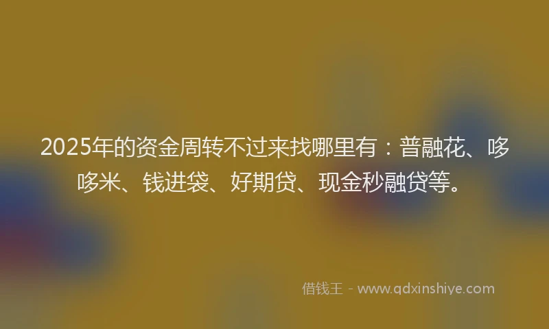 2025年的资金周转不过来找哪里有：普融花、哆哆米、钱进袋、好期贷、现金秒融贷等。
