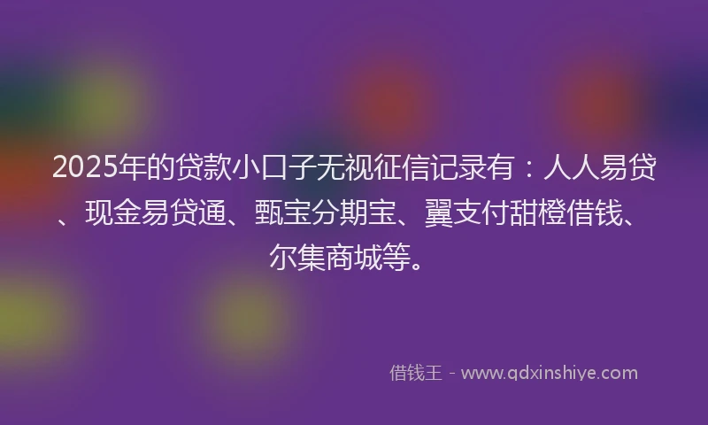 2025年的贷款小口子无视征信记录有：人人易贷、现金易贷通、甄宝分期宝、翼支付甜橙借钱、尔集商城等。