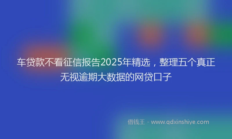 车贷款不看征信报告2025年精选，整理五个真正无视逾期大数据的网贷口子